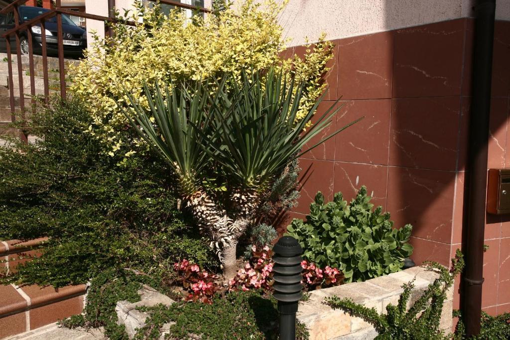 Fjord B&B Sozopol Zewnętrze zdjęcie